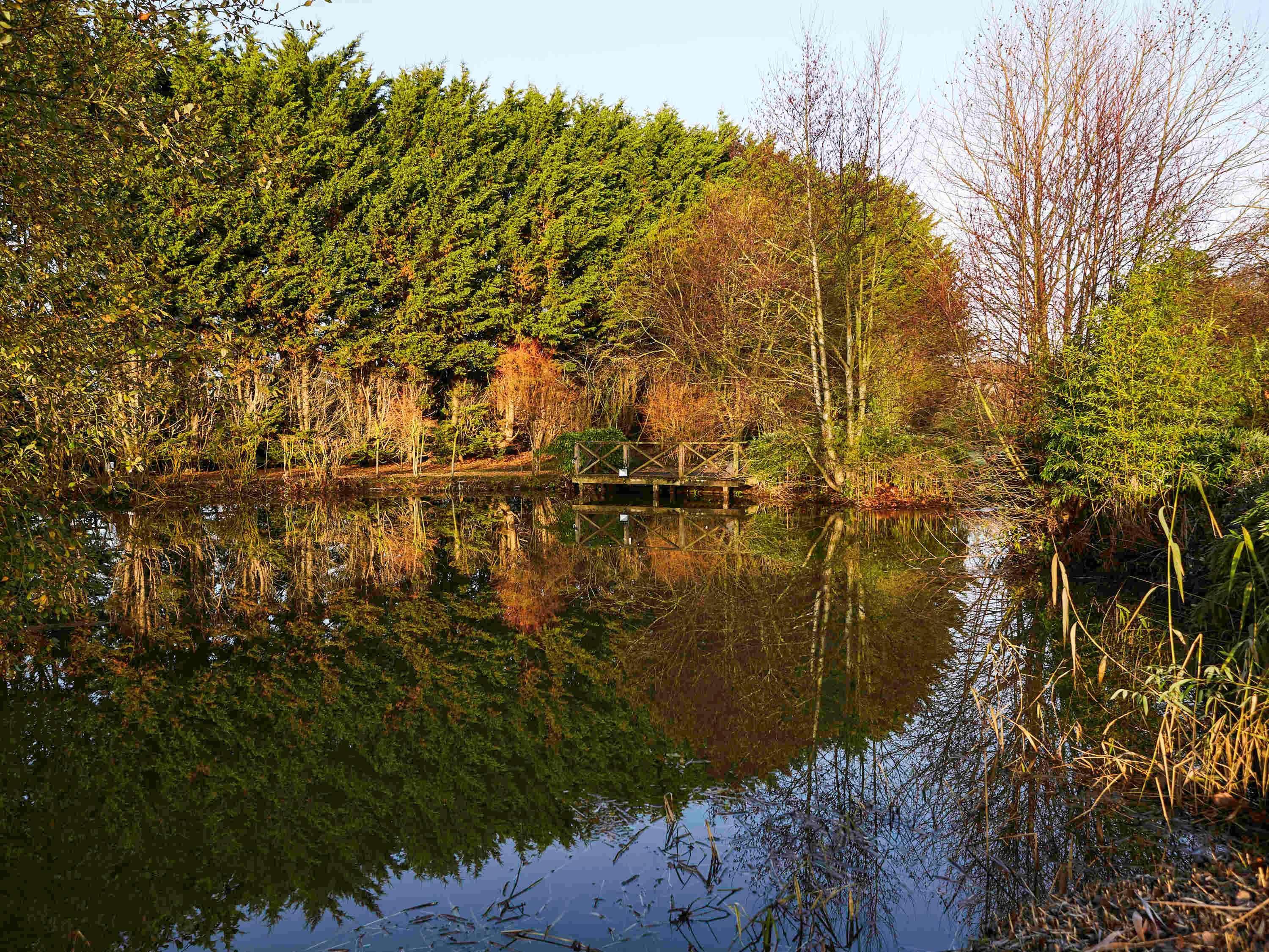 Mercure Newbury West Grange Hotel Thatcham Kültér fotó
